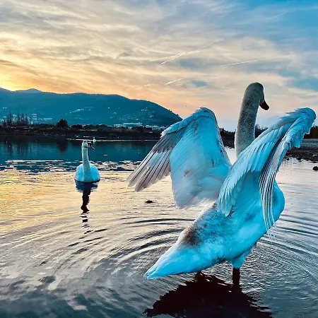 ベッド・アンド・ブレックファスト Marco Aurelio 4*