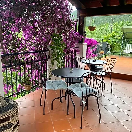 Marco Aurelio Bed and breakfast